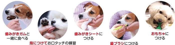 歯みがきジェルの使い方