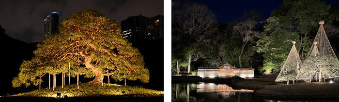 ライトアップされた小石川後楽園の風景(過去開催の様子)