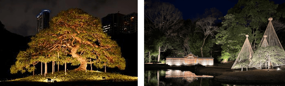 ライトアップされた小石川後楽園の風景(過去開催の様子)