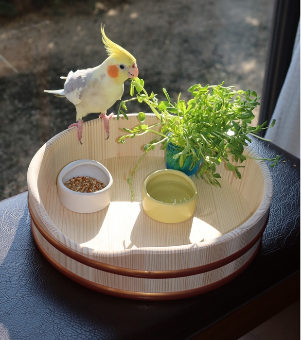 使用イメージ3