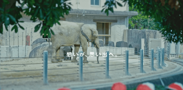 動物園編