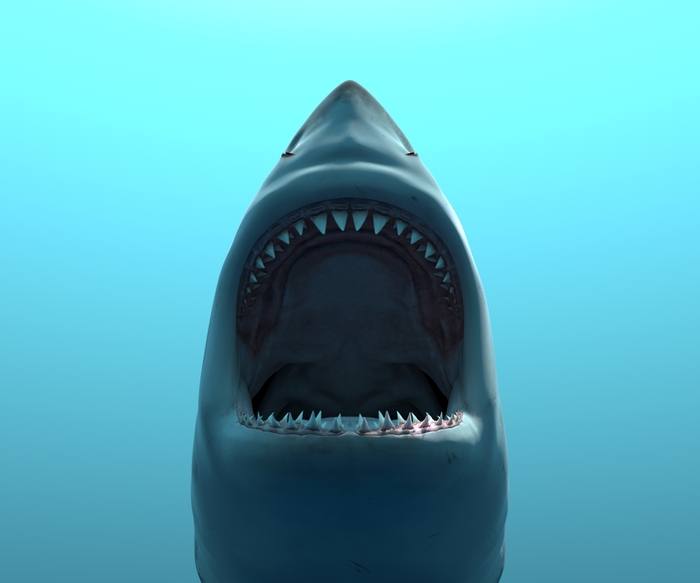 VR水槽_2 ※画像はイメージです。