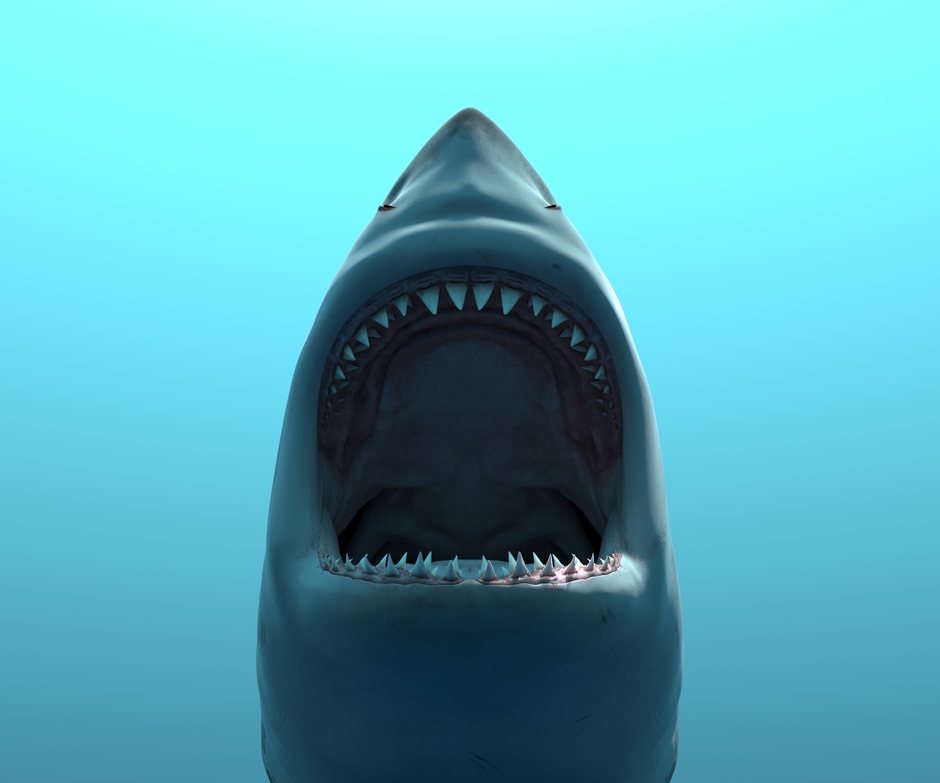 VR水槽_2 ※画像はイメージです。