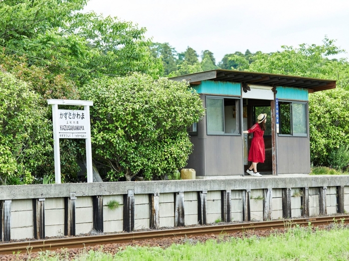 いちはらアート×ミックス イメージ(2)