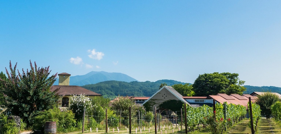 サンクゼール・ワイナリー　本店