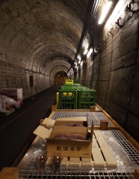 貯蔵庫として利用していた「のと鉄道能登線トンネル」