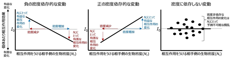 図1.相互作用効果の密度依存的な変動の概念図。脚注3,4,5も参照。I0:相互作用効果がゼロであることを示すが、必ずしもこの水平線を直線がまたぐ必要はない。