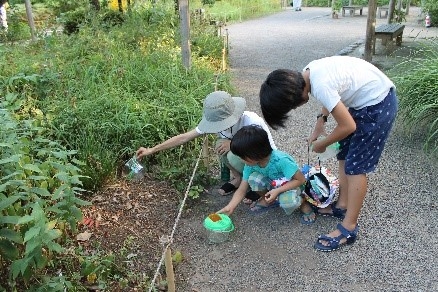 過年度の放虫式