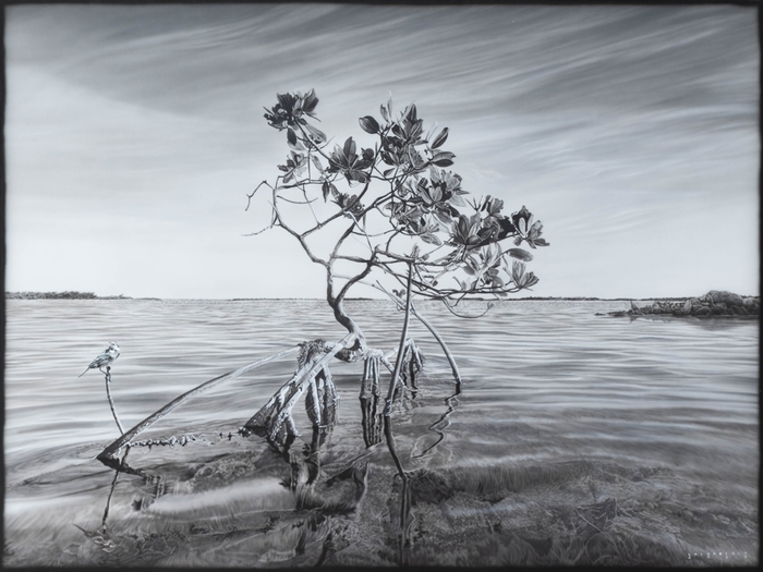 Arnold Lalongisip, Wonderment (2022)