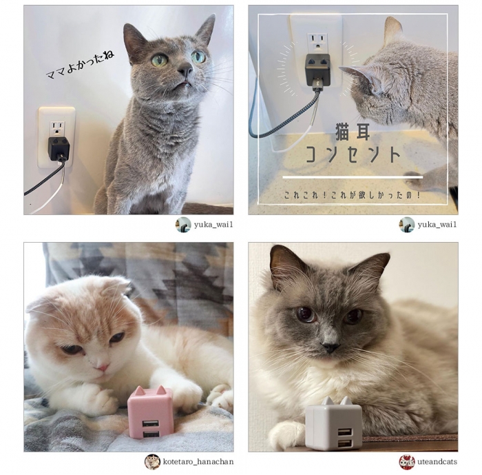 ◆弊社で人気の猫耳シリーズに「にゃんコロ充電器」が仲間入り