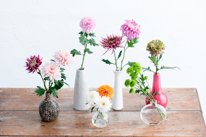 色と形が豊富なマムの花 撮影:三浦 希衣子