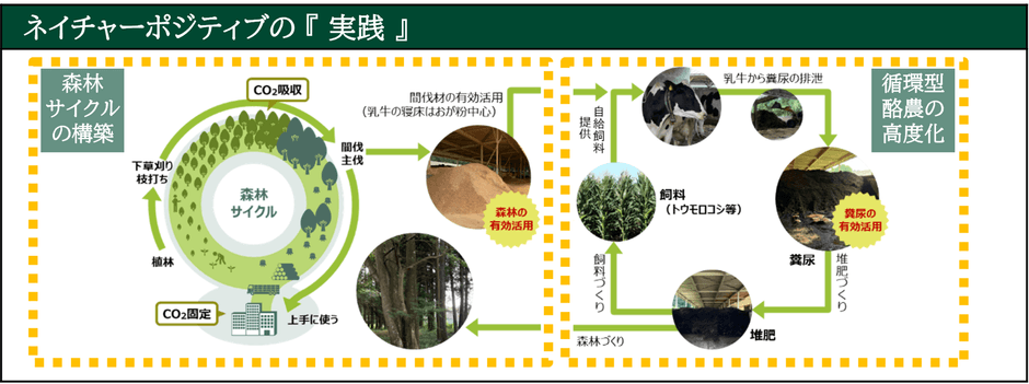 ※循環型酪農・森林エコシステムのイメージ図