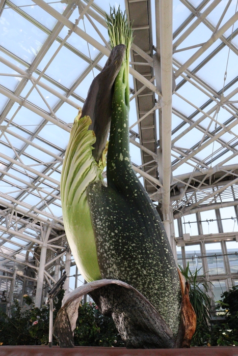 2022年12月9日撮影