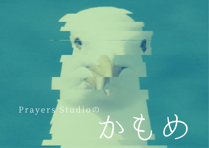 Prayers Studioの「かもめ」