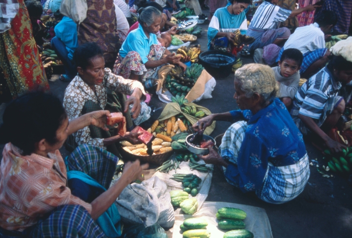 Photo.16 クジラ肉と農産物の物々交換(撮影:小島曠太郎)