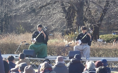 【神代植物公園】1/2～開園！「新春コンサート」と新春ならではの植物展示で新年の訪れを祝う