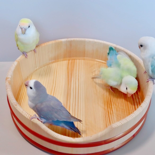 使用イメージ・水浴び