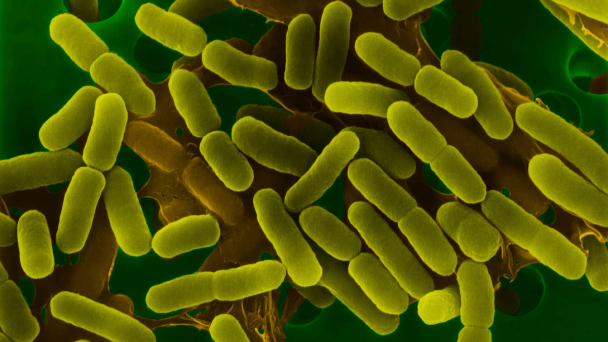 病院感染症治療薬の市場規模は2027年までに120.2億ドルに達する見込み