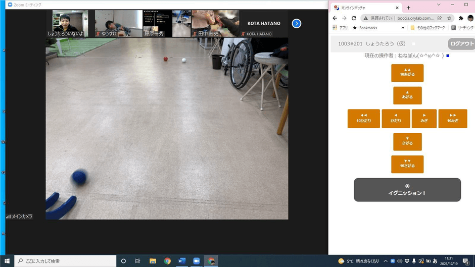 オンラインボッチャ操作画面の様子