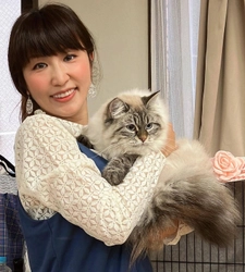 日本のキャットブリーダー業界の飼育基準を上げるため 日本初の世界基準に基づいたサイベリアンキャッテリーが 吉祥寺にてオープン！