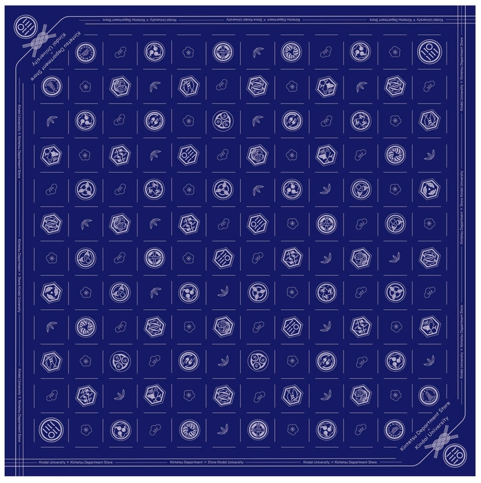 近大文芸学部学生にようデザインの風呂敷