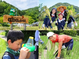 宝酒造「田んぼの学校」2024 参加者募集を開始