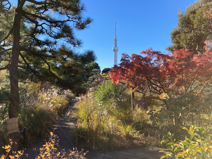 向島百花園