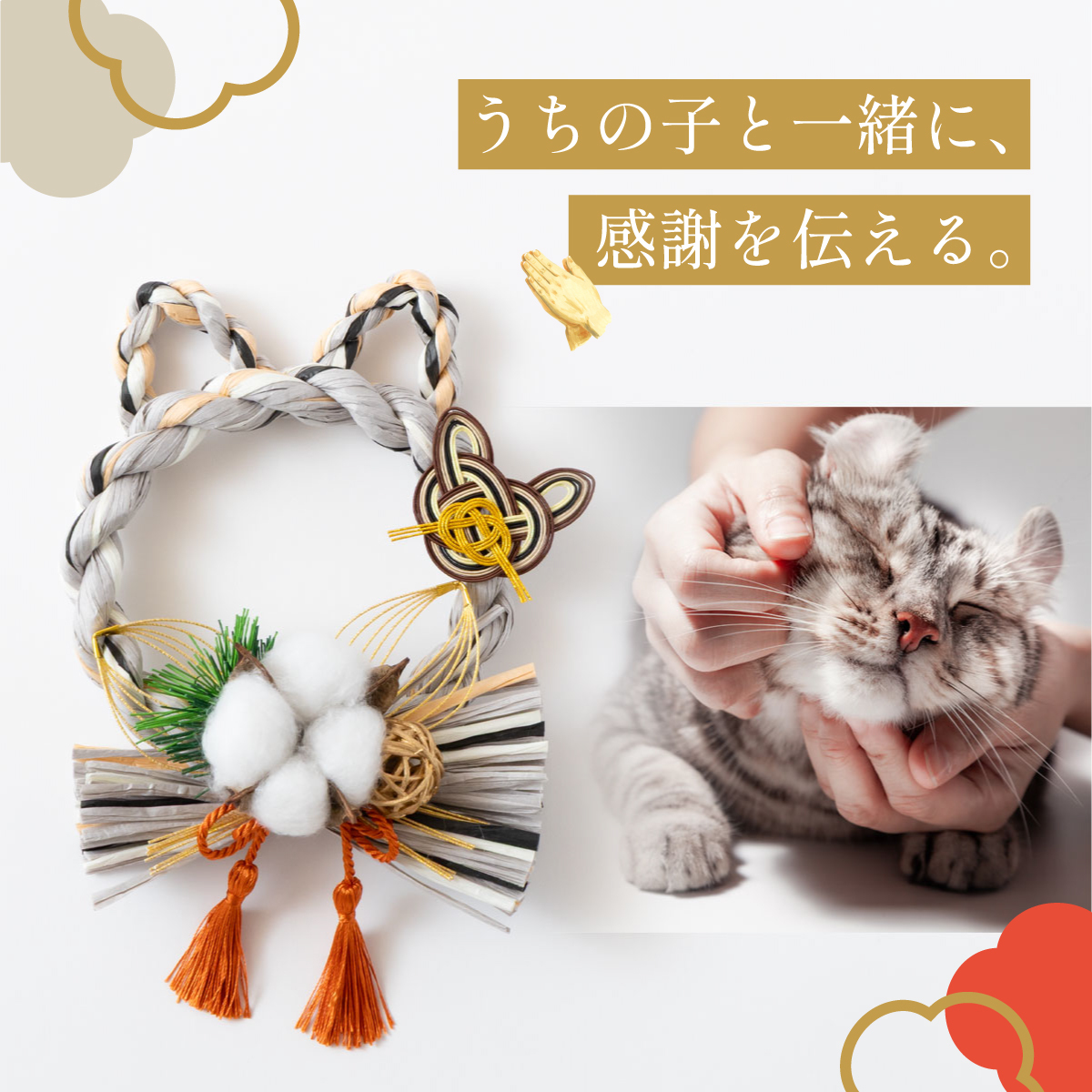 しめニャわ(キジトラ)