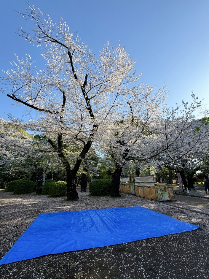 場所取り代行(1)