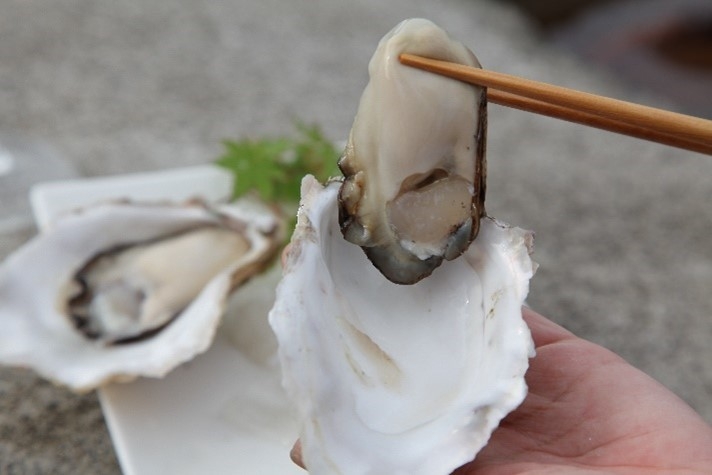 今が旬のこの味をぜひ生でお楽しみください