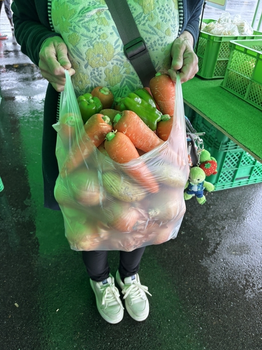 野菜詰め放題 ※イメージ