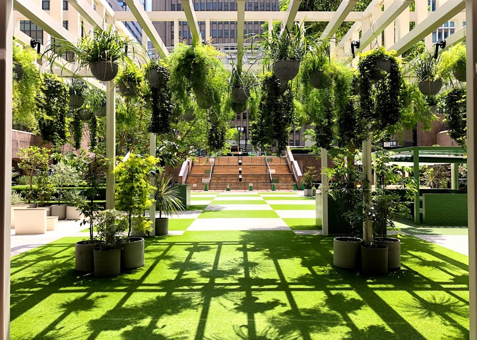 ヒビコクテラス