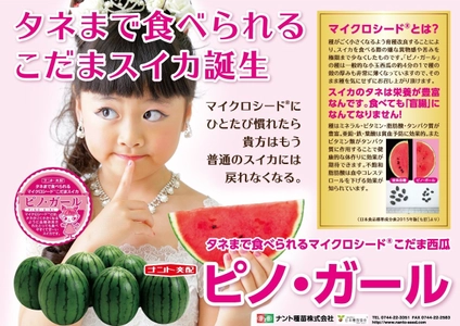 タネまで食べられる西瓜の革命！小玉スイカ「ピノ・ガール」　 延べ149名の方々からご支援を集め、 目標達成率349％でクラウドファンディング終了！