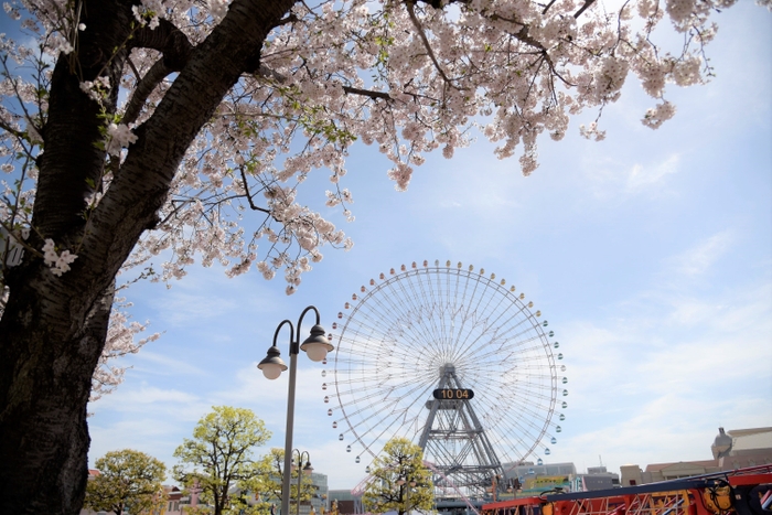 春のみなとみらいの様子2