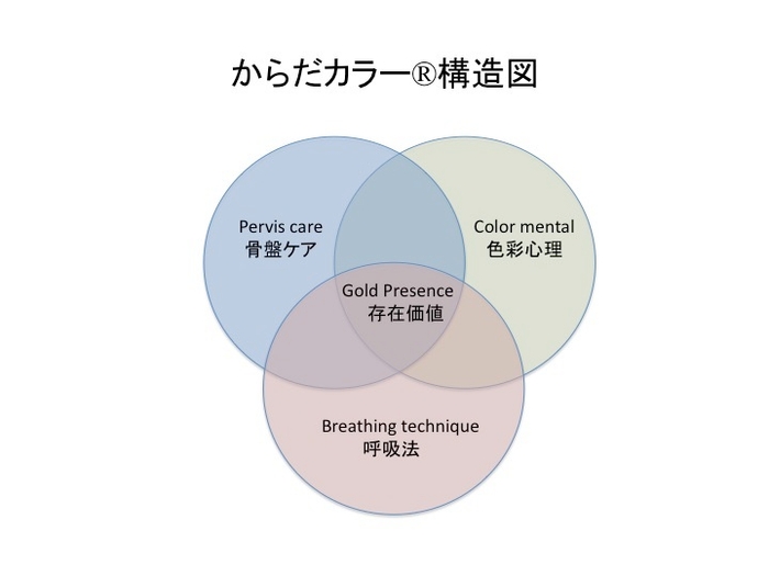 からだカラー(R)構造図