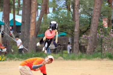 夏は家族揃って“遊んで・見て・触れて・食べて” 楽しいイベント盛りだくさん！ 「わんぱくまつり」開催！【富士すばるランド】