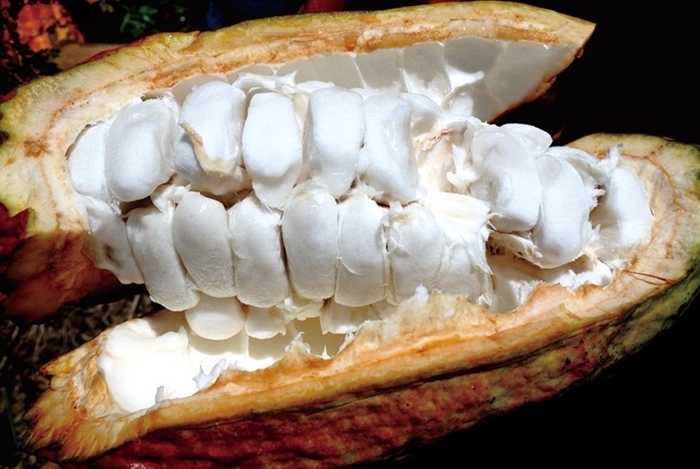 こだわりポイント1