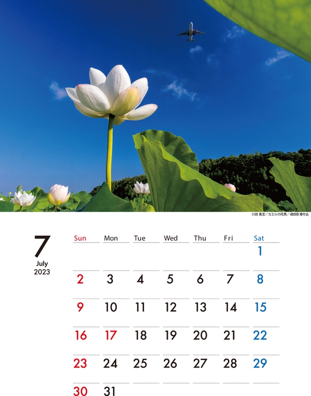 カレンダーイメージ7月