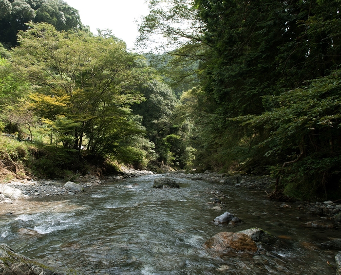 山間エリアの風景「名栗川」