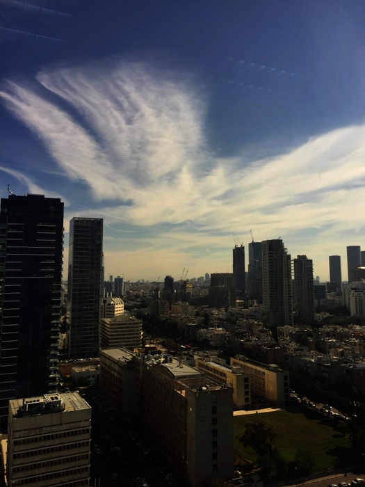 テルアビブ市内高層ビル 3