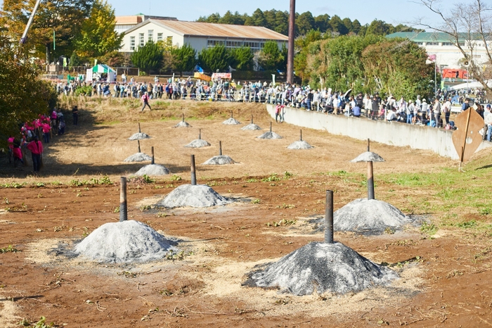 たくさんのもみ殻の山でサツマイモを焼いている様子