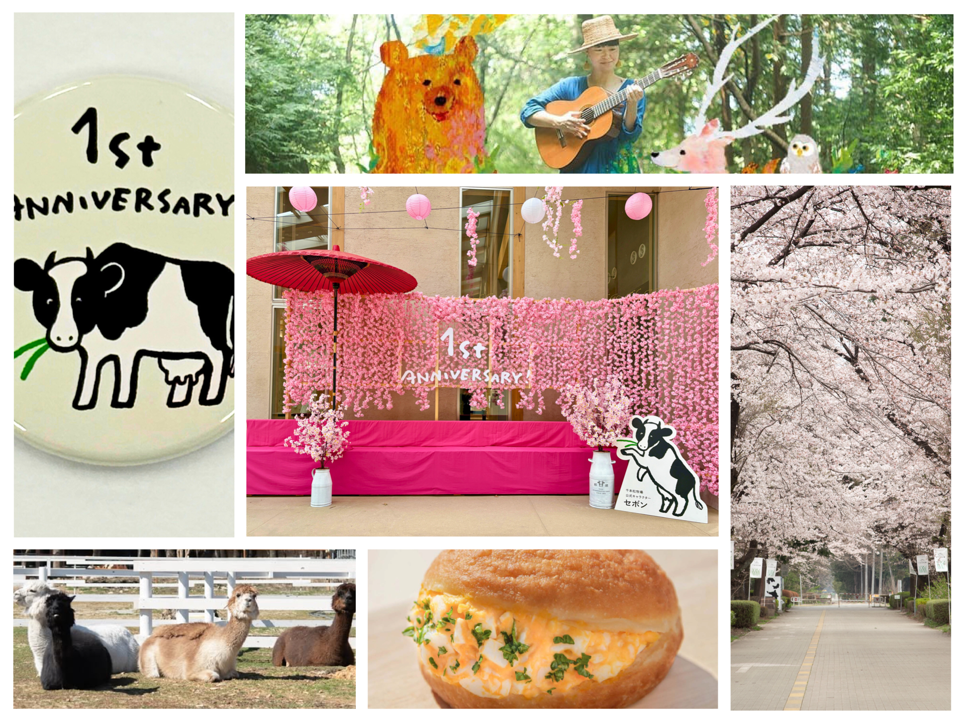 約200本の桜が彩る春の牧場で、グランドオープン1周年。那須千本松牧場が"桜・動物・食"を楽しむ体験型イベントを開催