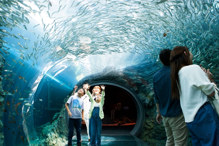 上越市立水族博物館うみがたり