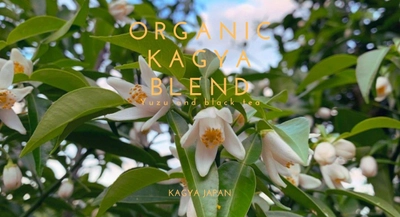 柚子のエッセンシャルオイルブランド『KAGYA JAPAN』が 有機柚子と有機紅茶のブレンドティー 『オーガニック・カグヤブレンド』を6月1日より発売