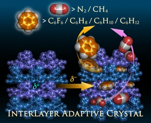 芝浦工大が孔の大きさを超えて分子を選ぶ 「層間適応結晶」を開発