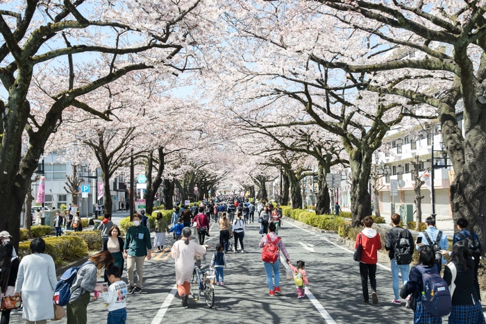 平和通り