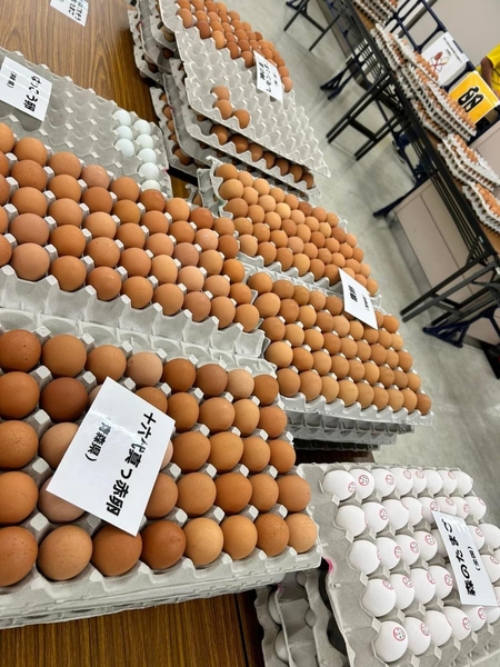 昨年の食べ放題ブース 