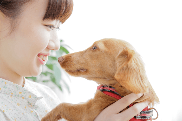 ペットとの共生をめざして