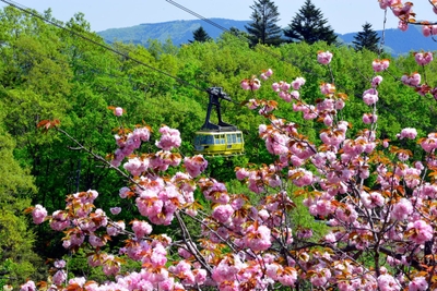 宝登山ロープウェイイメージ