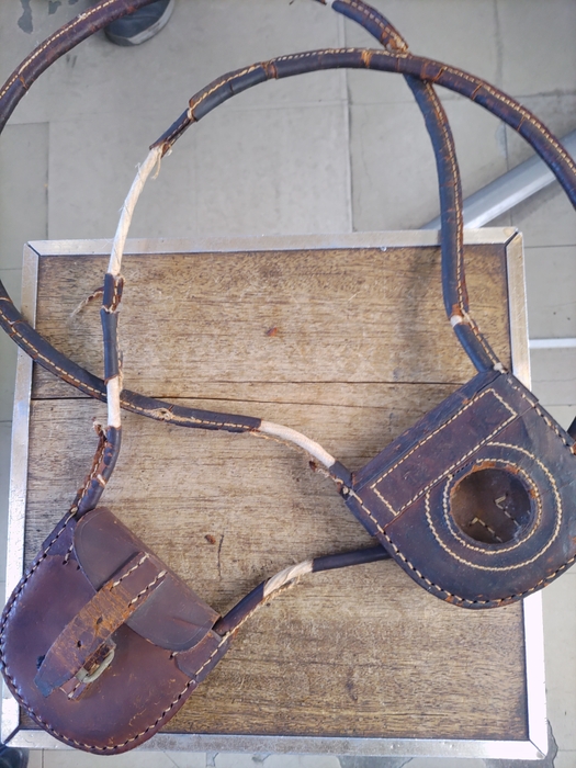 キャリア イメージ